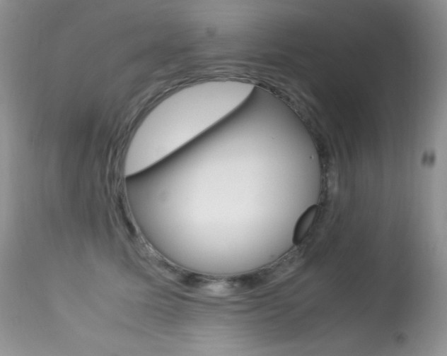 X0000113640611200909181330
