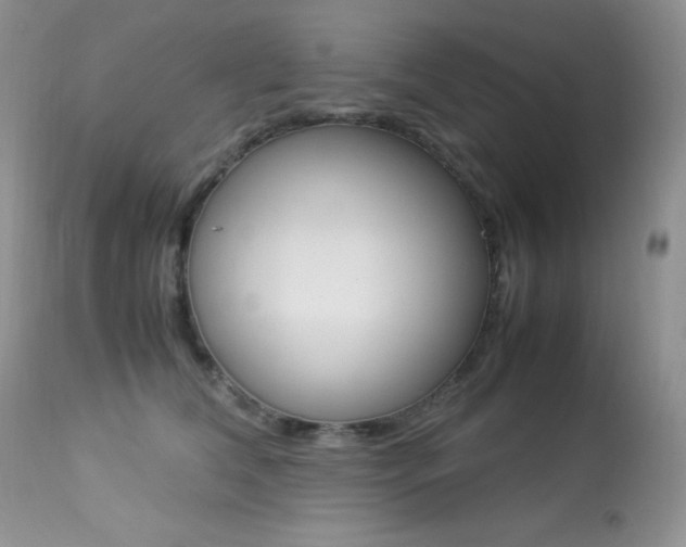X0000113640612200909181330