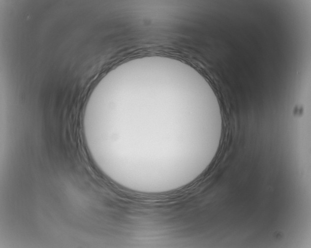 X0000113640613200909181330