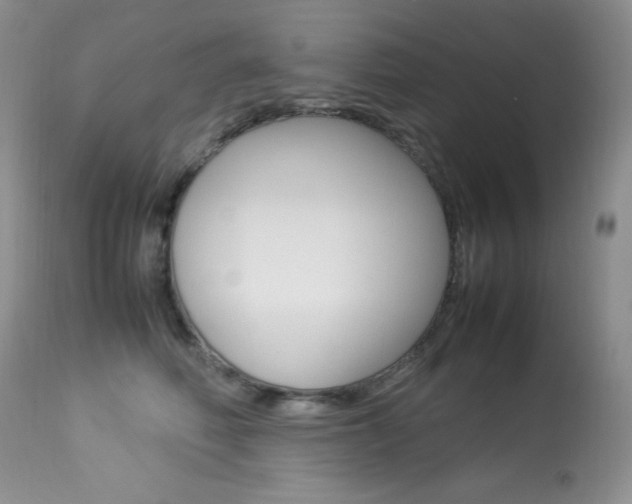 X0000113640614200909181330