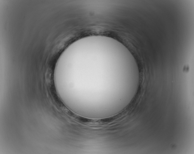 X0000113640615200909181330