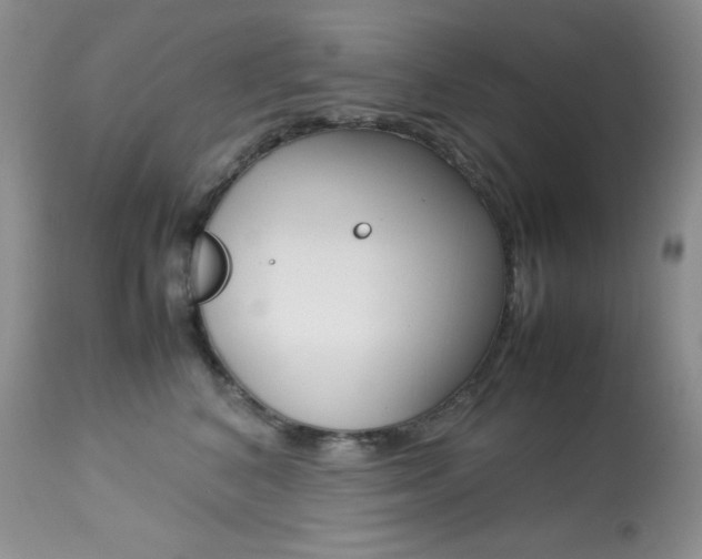 X0000113640616200909181330