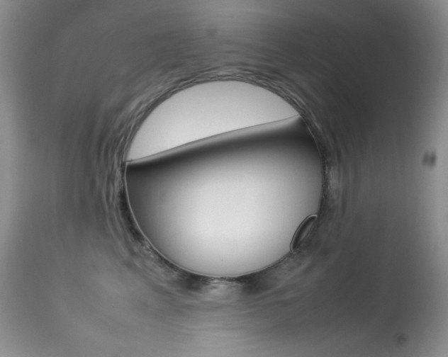 X0000113640617200909181330