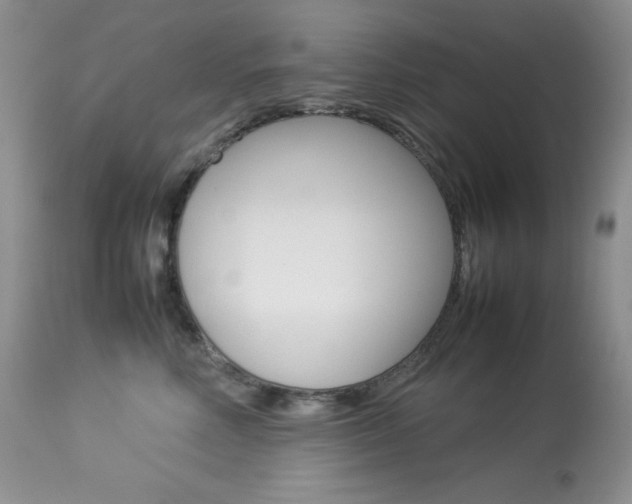 X0000113640618200909181330
