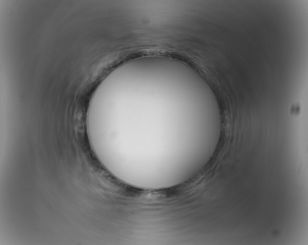 X0000113640619200909181330