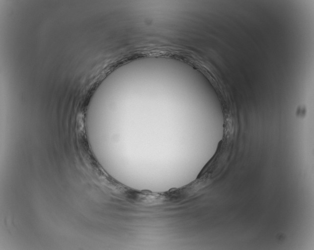 X0000113640621200909181330