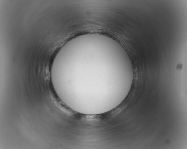 X0000113640622200909181330