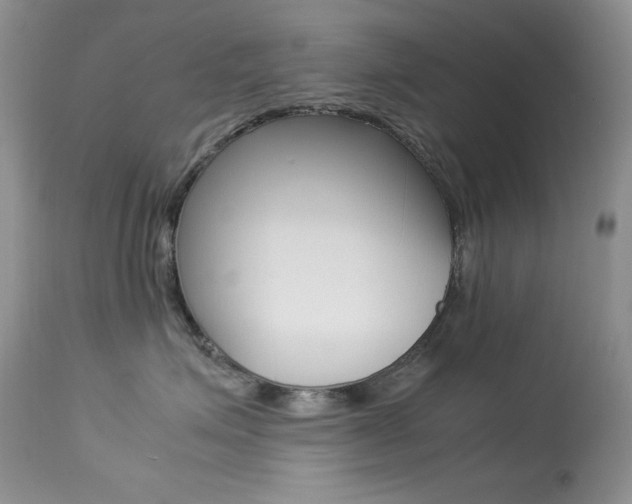 X0000113640623200909181330