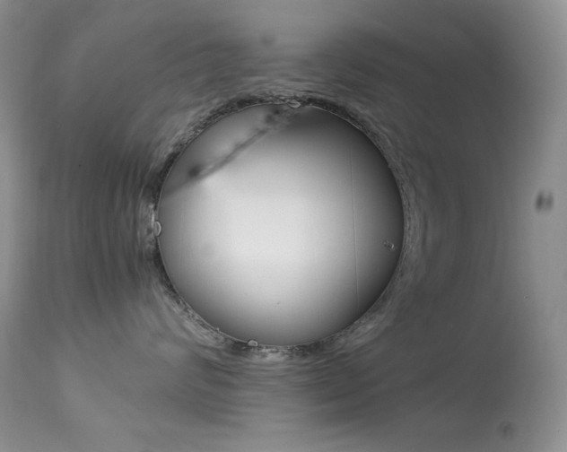 X0000113640624200909181330