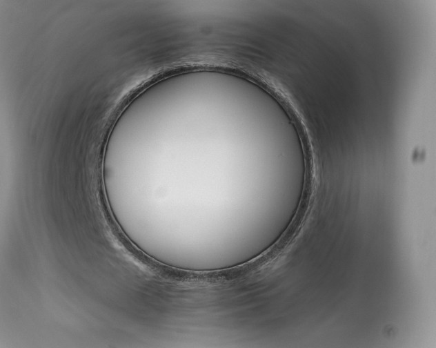 X0000113640625200909181329