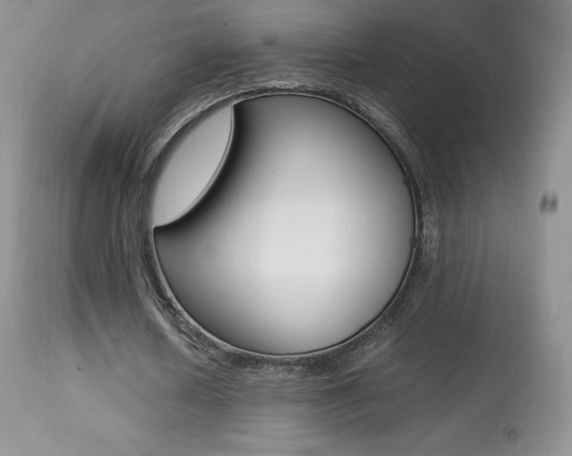 X0000113640626200909181330