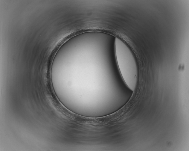 X0000113640627200909181330