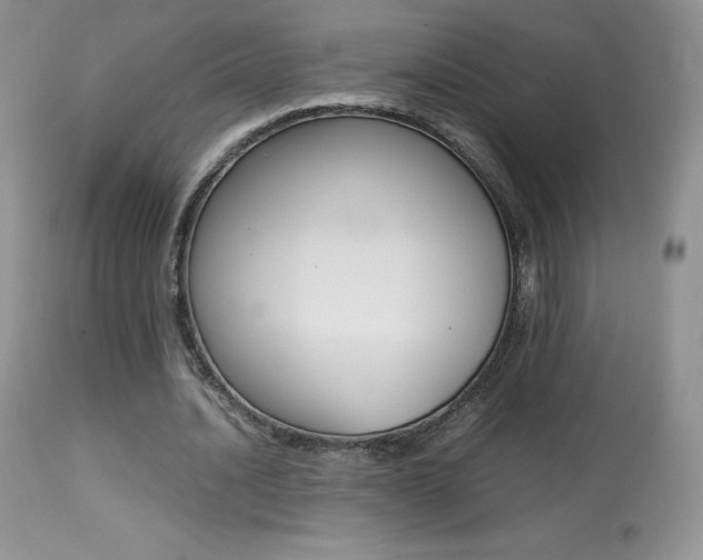 X0000113640628200909181330
