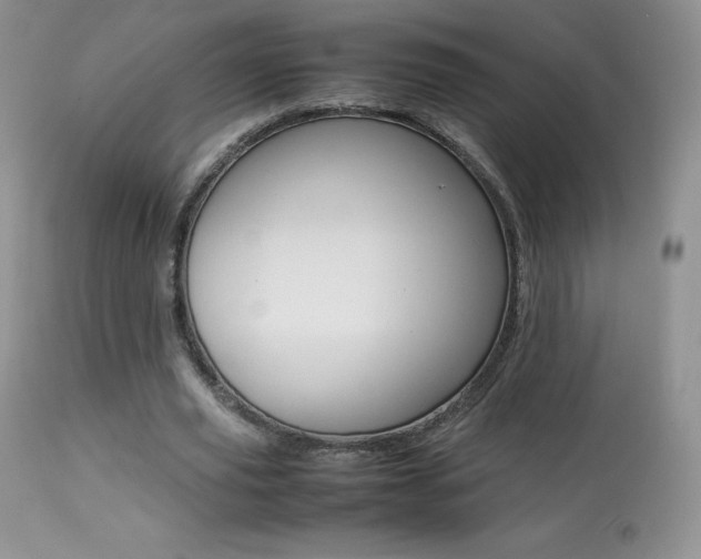 X0000113640629200909181330