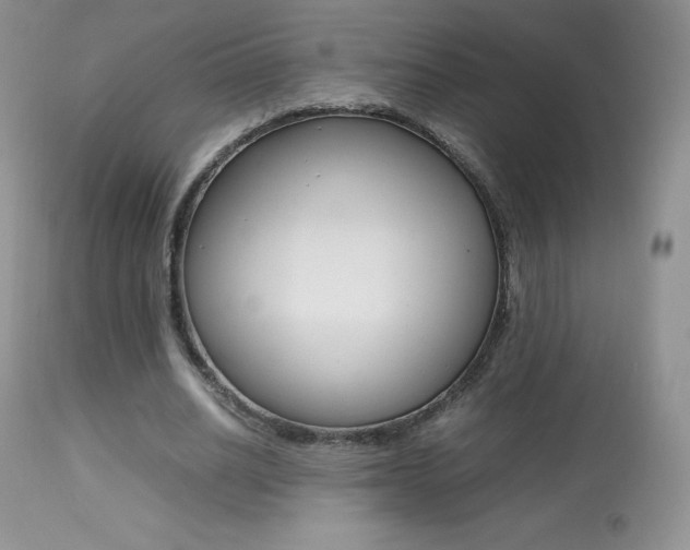 X0000113640630200909181330