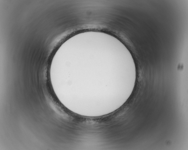 X0000113640632200909181330