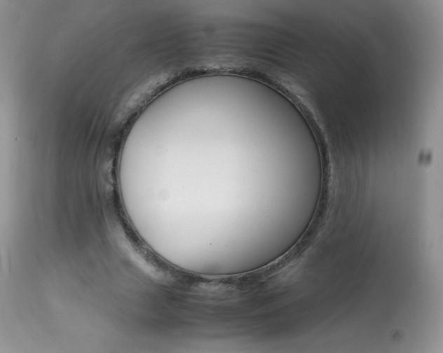 X0000113640633200909181330