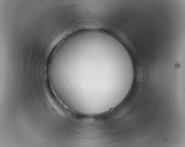 X0000113640634200909181330