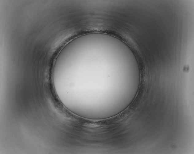X0000113640635200909181330