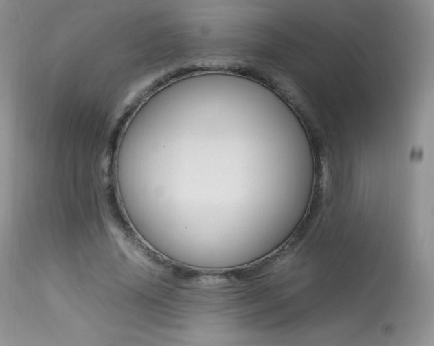 X0000113640636200909181330