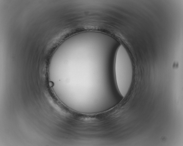 X0000113640637200909181330