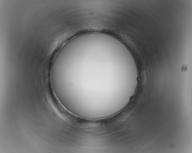 X0000113640638200909181330