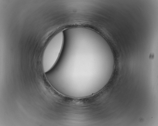 X0000113640640200909181330