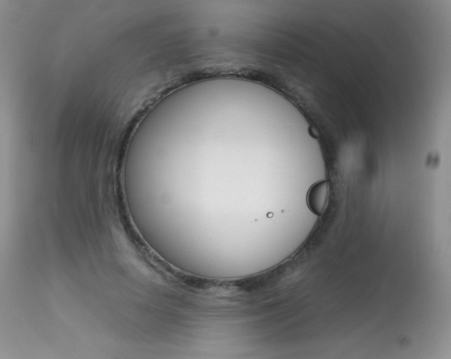 X0000113640642200909181330