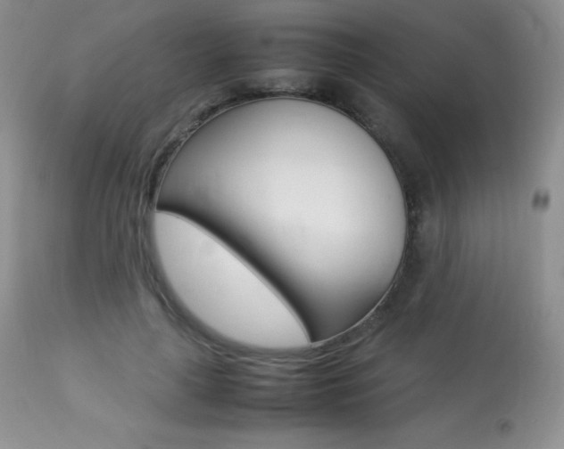 X0000113640643200909181330