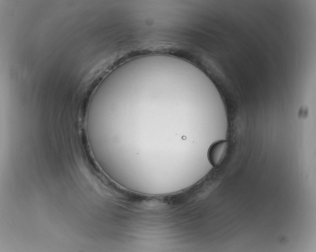 X0000113640644200909181330