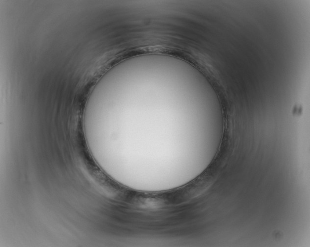 X0000113640645200909181330