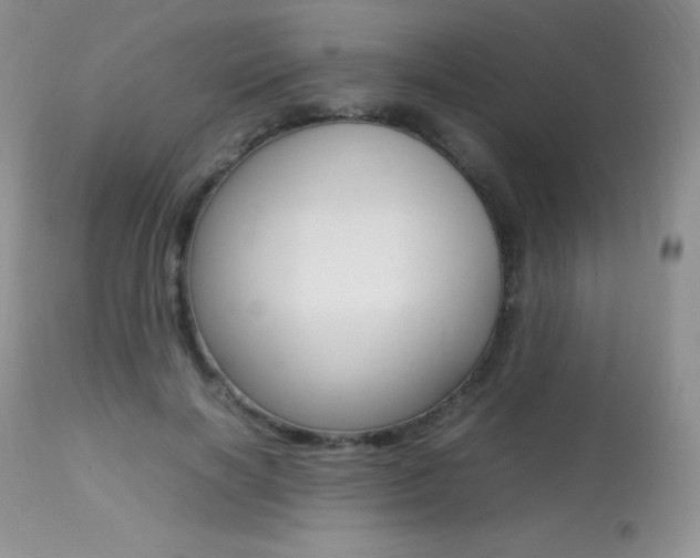 X0000113640646200909181330