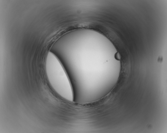 X0000113640648200909181330
