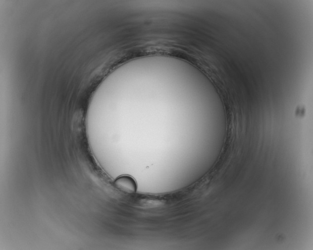 X0000113640649200909181330