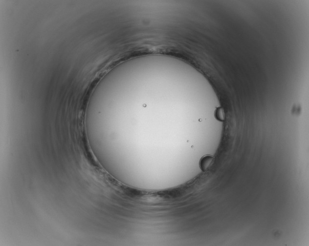 X0000113640650200909181330