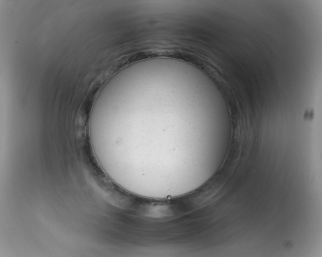 X0000113640651200909181330