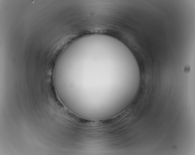 X0000113640652200909181330