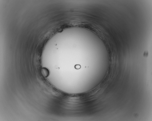 X0000113640653200909181330
