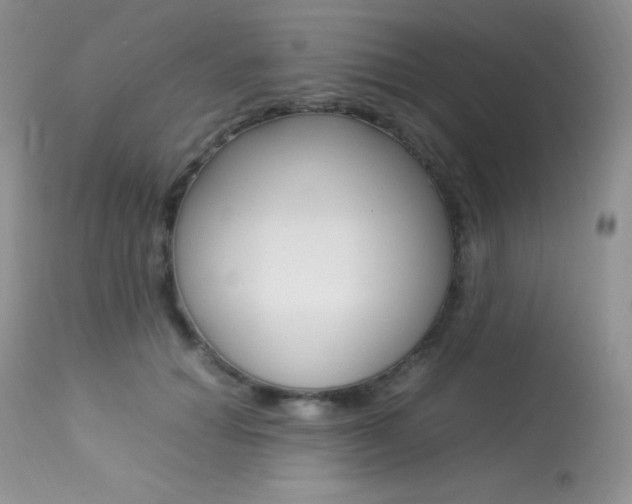 X0000113640654200909181330