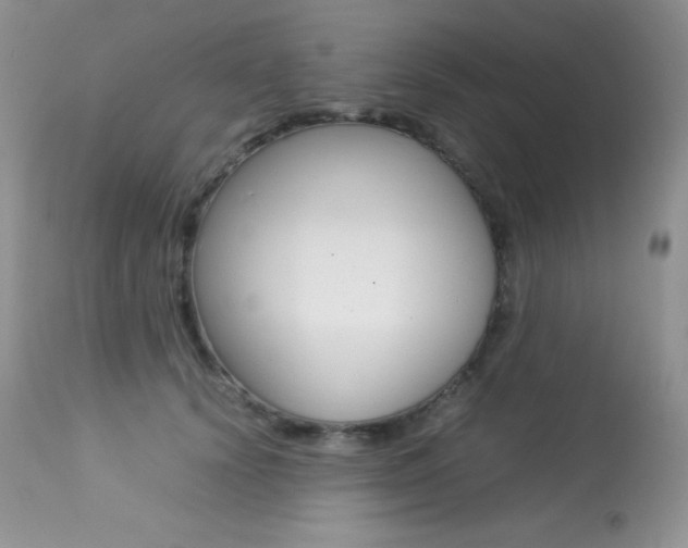 X0000113640656200909181330