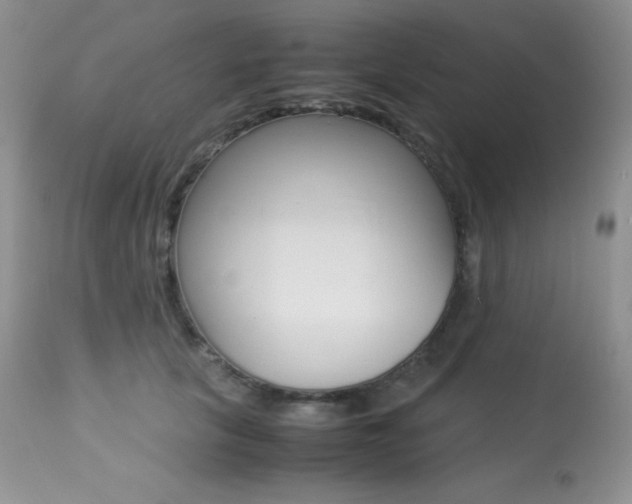 X0000113640657200909181330
