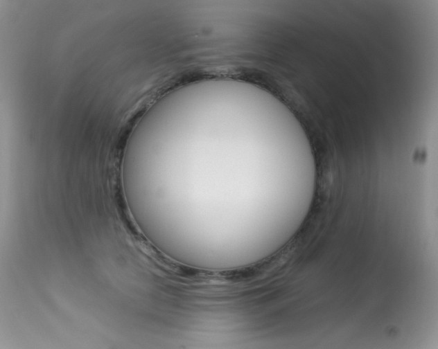 X0000113640658200909181330