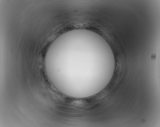 X0000113640659200909181330