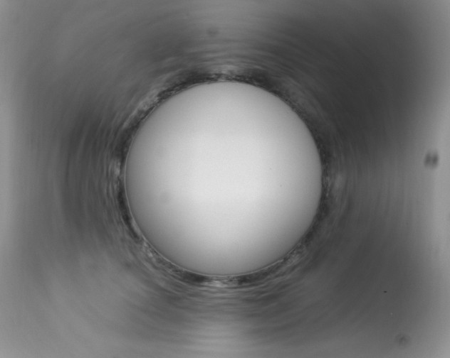 X0000113640660200909181330