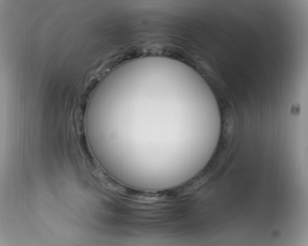 X0000113640661200909181330