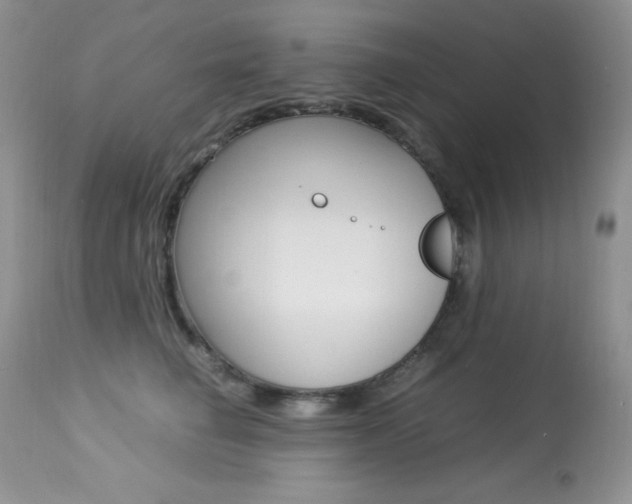 X0000113640662200909181330