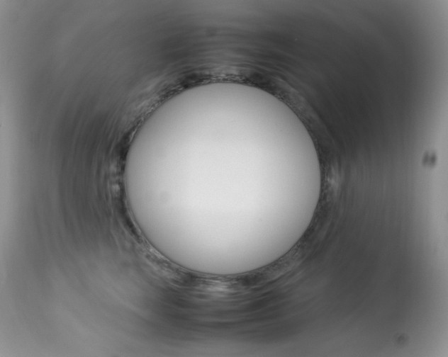 X0000113640663200909181330