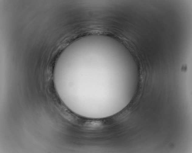 X0000113640665200909181330