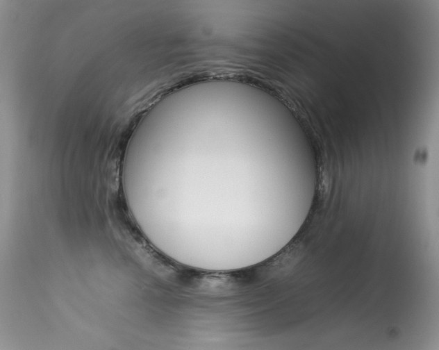 X0000113640666200909181330