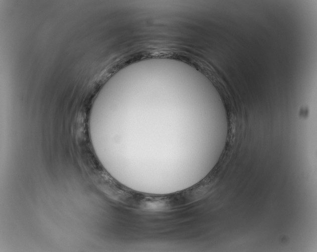 X0000113640667200909181330
